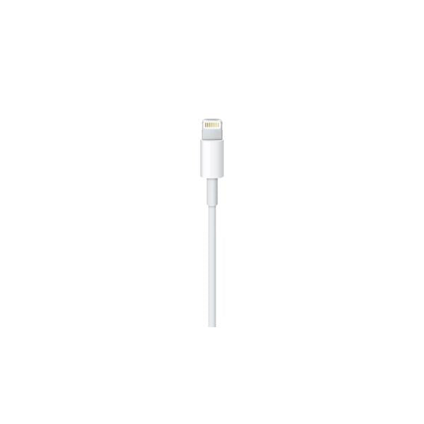 Apple Cavo da lightning a USB 0.5mt