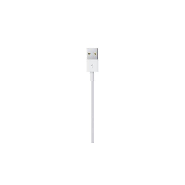 Apple Cavo da lightning a USB 0.5mt