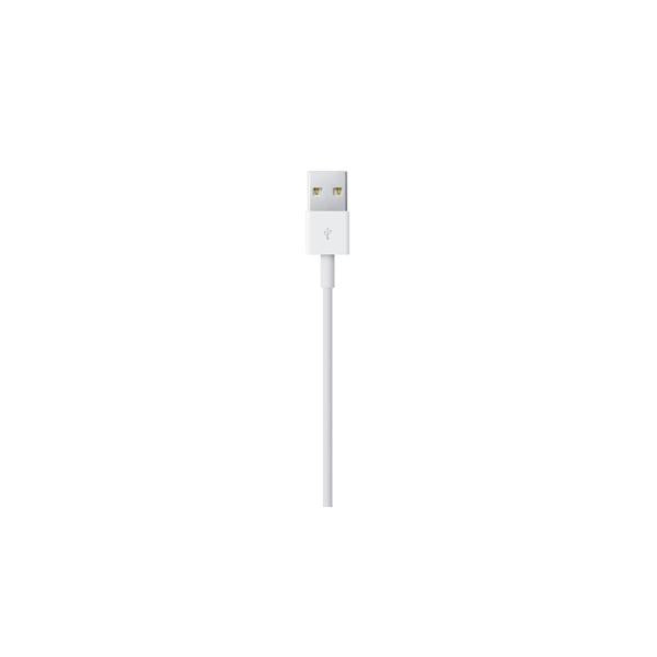 Apple Lightning-auf-USB-Kabel (0,5 m)