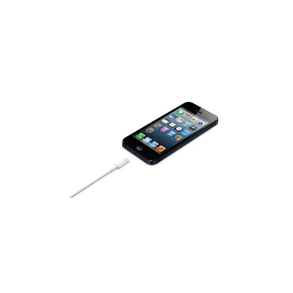 Apple Lightning-auf-USB-Kabel (0,5 m)