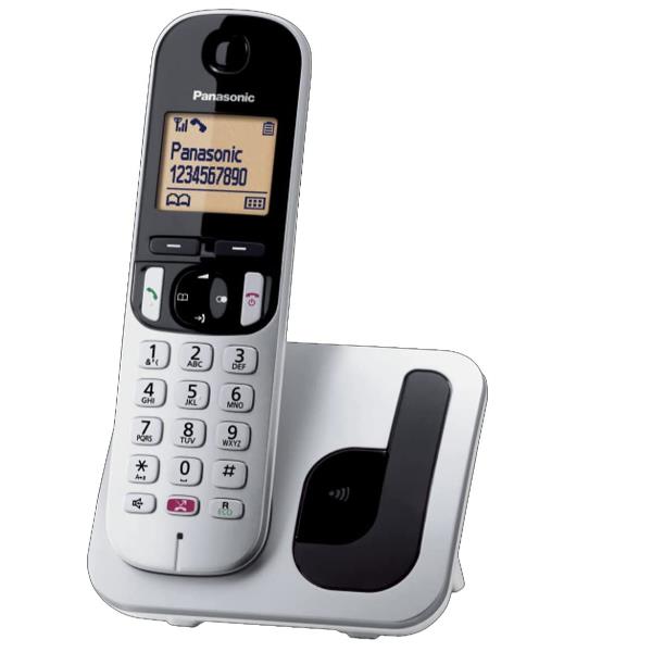 Panasonic KX-TGC250JTS telefono Telefono DECT Identificatore di chiamata Nero, Argento - EUROBABYLON