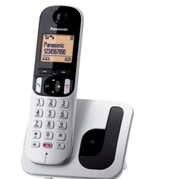 Panasonic KX-TGC250JTS telefono Telefono DECT Identificatore di chiamata Nero, Argento - EUROBABYLON