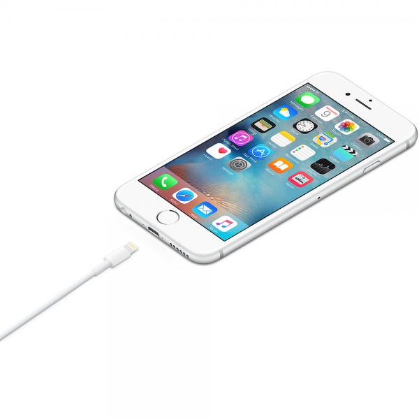 Apple Cavo da lightning a USB 1mt - EUROBABYLON