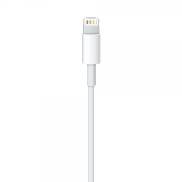 Apple Cavo da lightning a USB 1mt - EUROBABYLON