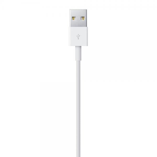 Apple Cavo da lightning a USB 1mt - EUROBABYLON