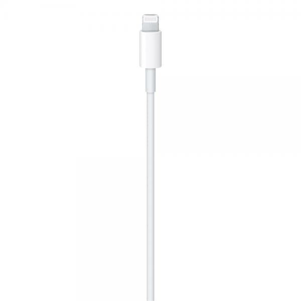 Apple Cavo da USB-C a lightning 2mt