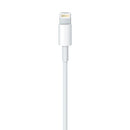 APPLE LIGHTNING TO USB CABLE 2M MD819ZM/A - EUROBABYLON
