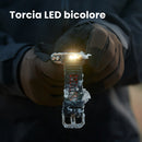 Descrizione immagine