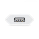 Apple Alimentatore USB da 5W - EUROBABYLON