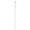 Apple Cavo da USB-C a lightning 1mt - EUROBABYLON