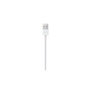Apple Cavo da lightning a USB 0.5mt - EUROBABYLON