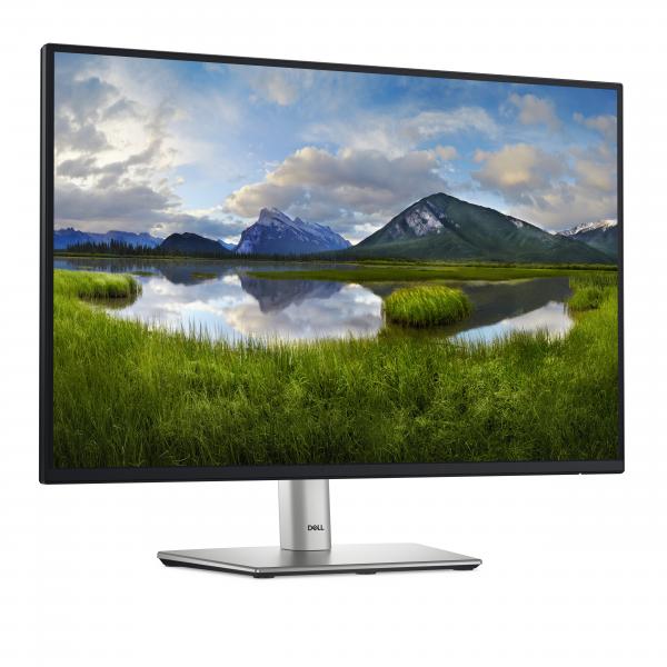 DELL P Series P2425 Monitor PC 61,1 cm (24.1") 1920 x 1200 Pixel WUXGA LCD Nero - EUROBABYLON