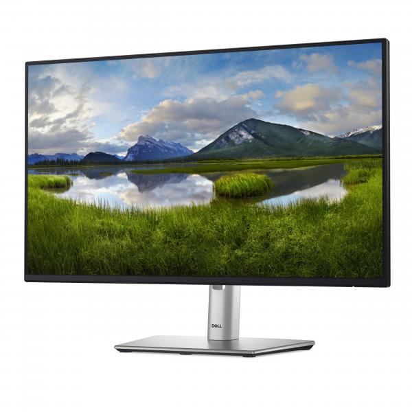 DELL P Series P2425H Monitor PC 60,5 cm (23.8") 1920 x 1080 Pixel Full HD LCD Nero - EUROBABYLON