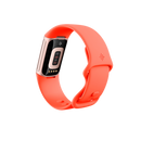 Fitbit Charge 6 AMOLED Braccialetto per rilevamento di attività Corallo, Oro - EUROBABYLON