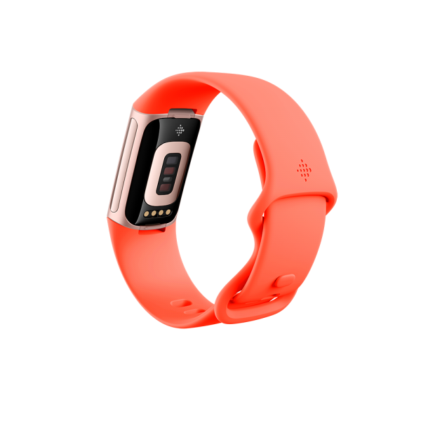 Fitbit Charge 6 AMOLED Braccialetto per rilevamento di attività Corallo, Oro - EUROBABYLON