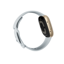 Fitbit Sense 2 Digitale Touch screen Oro GPS (satellitare) - EUROBABYLON