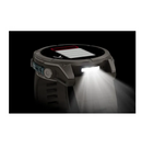 Garmin Fenix 9 - 51 mm, AMOLED Pebble Gray QuickFit®-Silikon-Armband