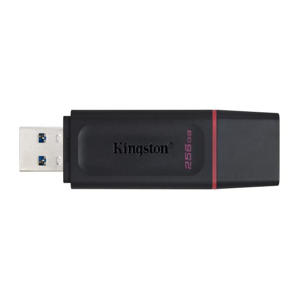 Kingston Pendrive USB-A 3.2 256GB DTX/256GB Nero/Rosa - EUROBABYLON