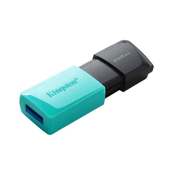 Kingston Pendrive USB-A 3.2 256GB DTXM/256GB Nero/Azzurro - EUROBABYLON