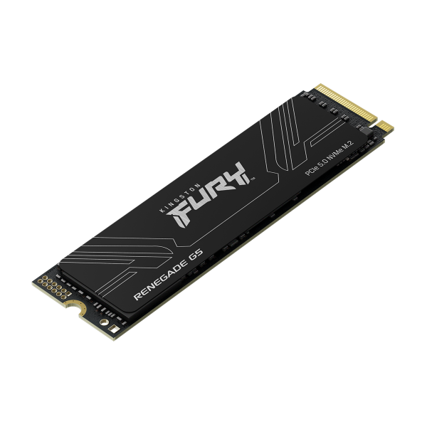 Kingston Technology 1T FURY RENEGADE G5 M.2 2280 NVMe SSD - EUROBABYLON