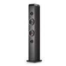 NGS Speaker a Torre Sky Charm Pro BT USB RadioFM AUX 50W Nera - EUROBABYLON
