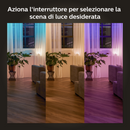 Philips Hue wall switch module bipack - EUROBABYLON