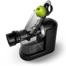 Descrizione immagine