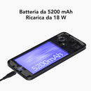 Descrizione immagine